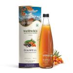 Wellwith Diawell  300ml (Diabowin) Karela & Jamun Diabetic Care Juice with Seabuckthorn | Chirata and Punarnava | Ayurvedic | Makes Upto 50 Glass Juice (300ml, Pack of 1)